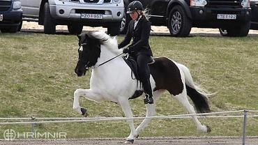 Helga Una Björnsdóttir