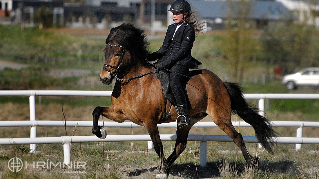Signý Sól Snorradóttir Signý Sól Snorradóttir