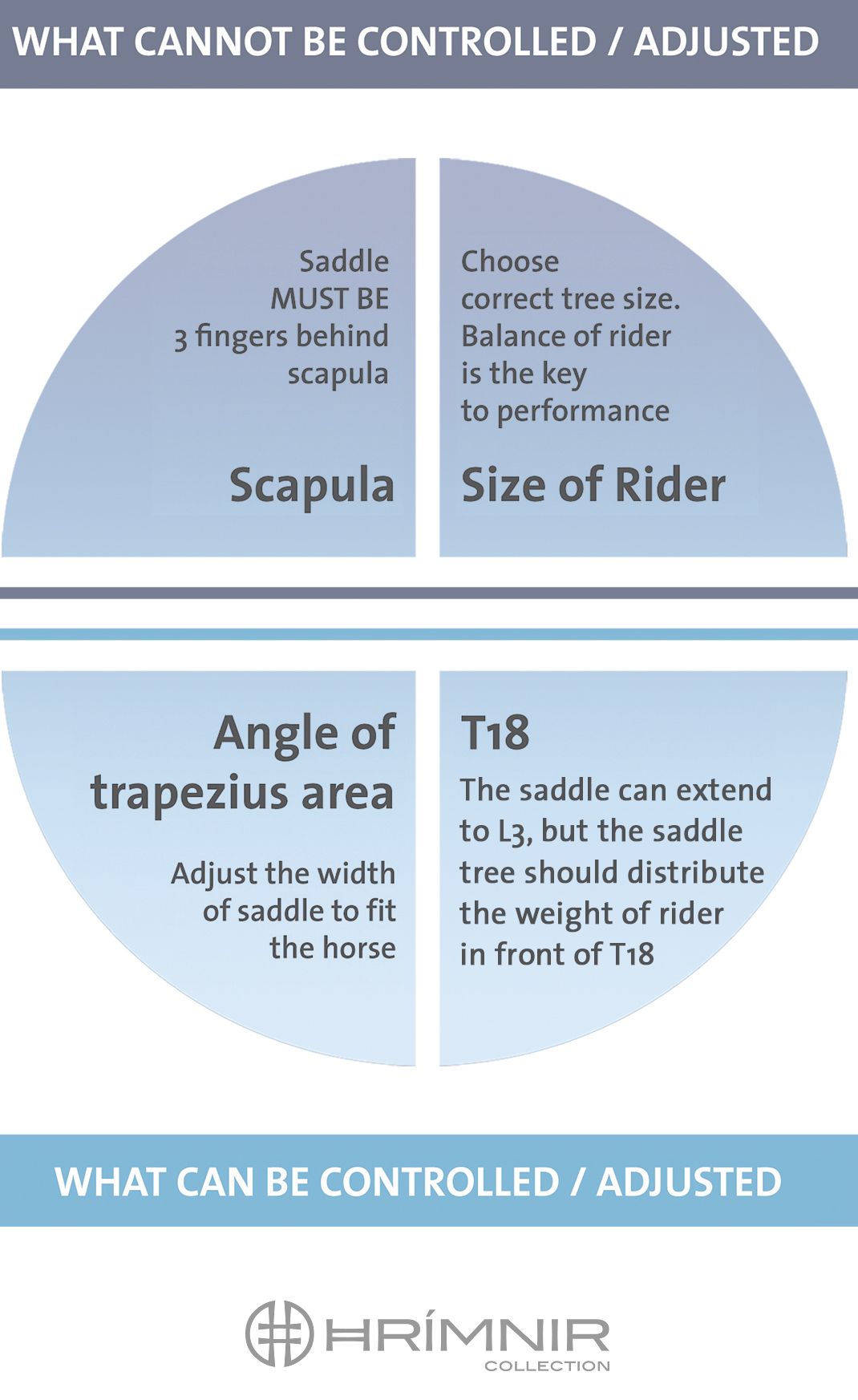 English Saddle Size Chart