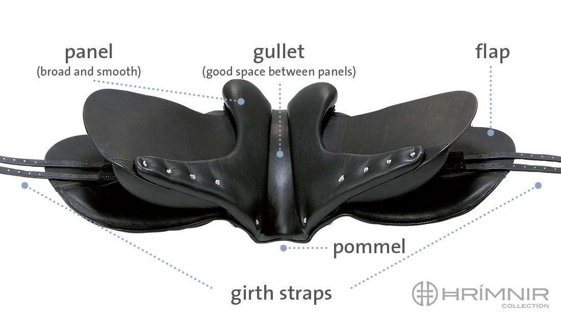 Saddle design Saddles