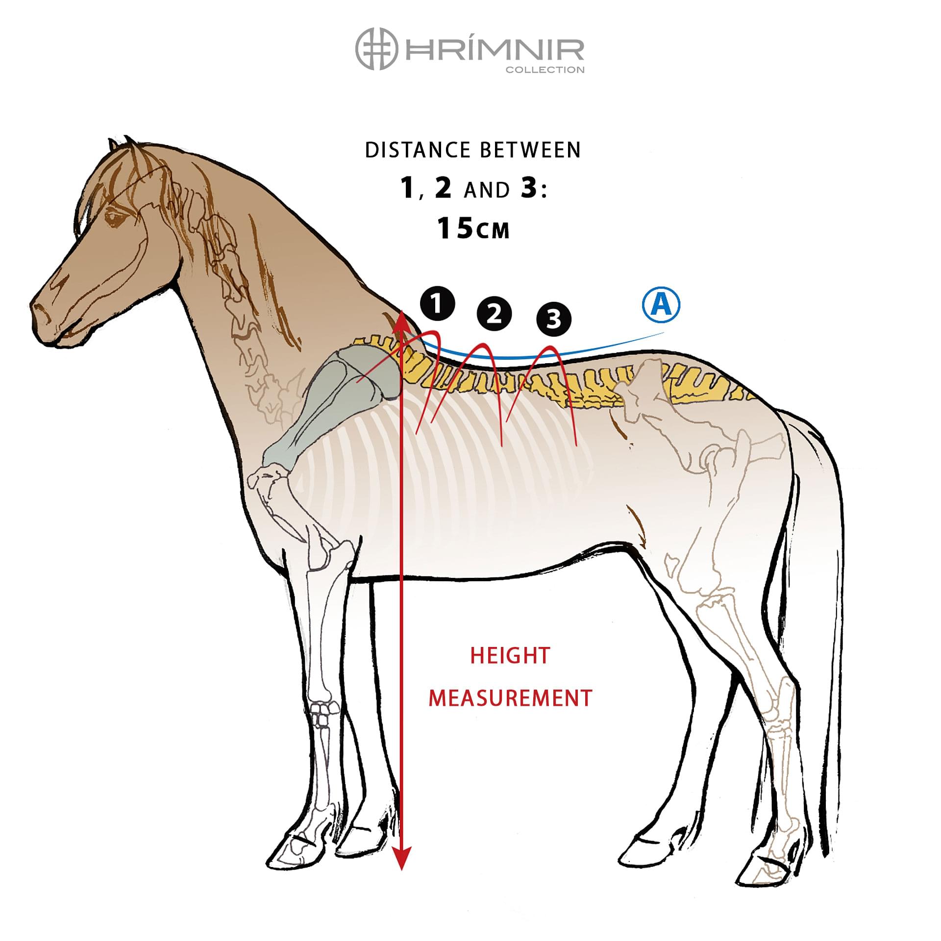 Saddle Expert Hrimnir