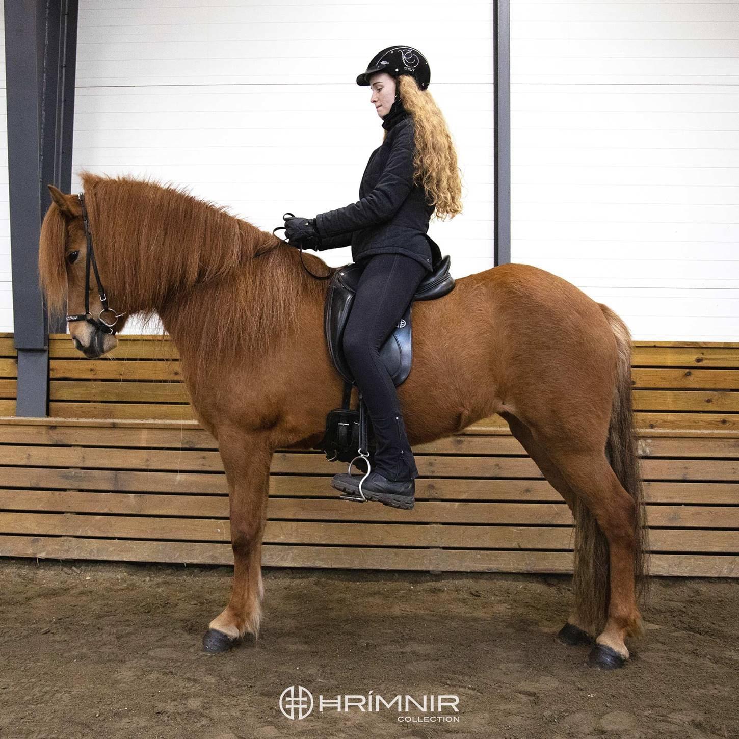 Saddle Expert Hrimnir